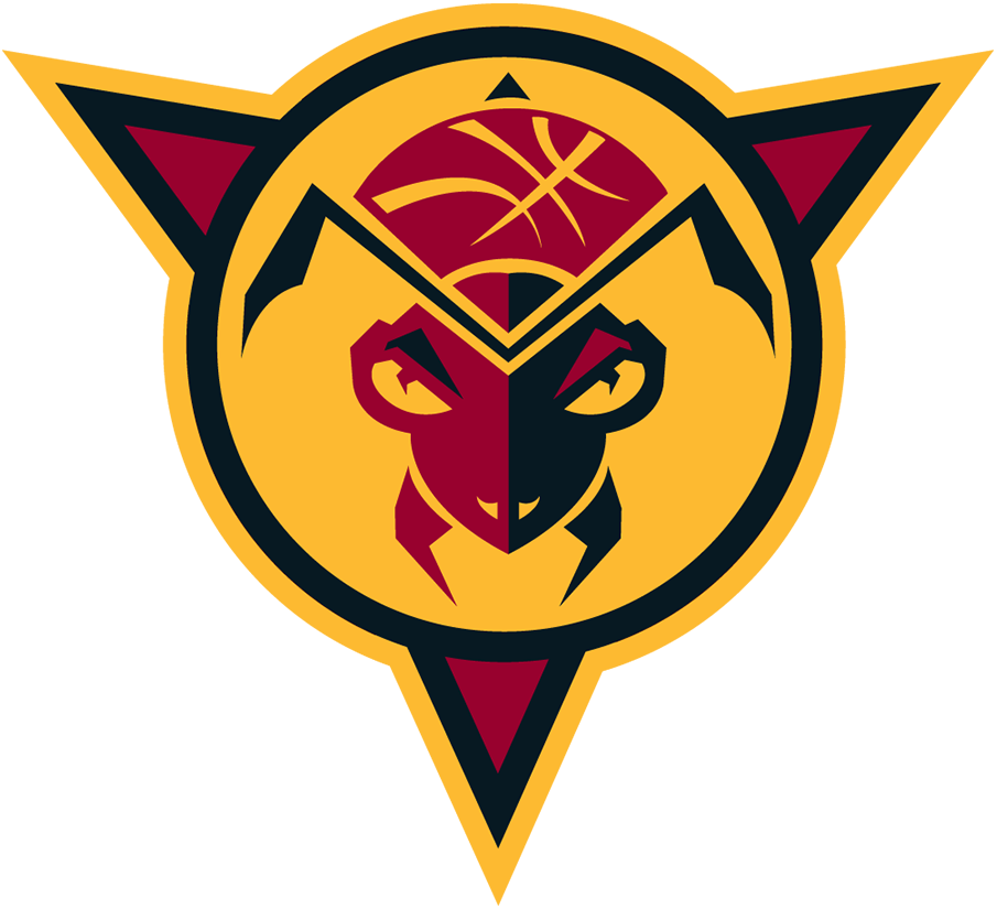 Fort Wayne Mad Ants 2006-2017 Alternate Logo iron on transfers for T-shirts